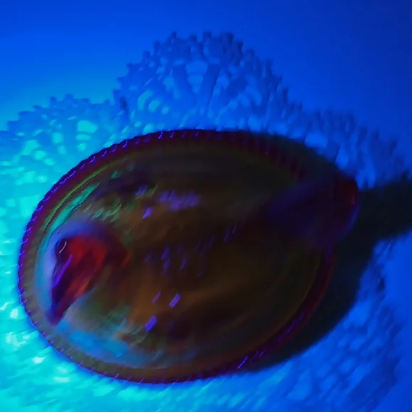 Vintage Mosser/ Westmoreland Amberina Hen on Nest She Is A Glower Rare Piece - Picture 10 of 10